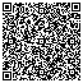QR-код с контактной информацией организации ИП "Пицбург"