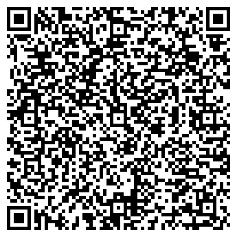 QR-код с контактной информацией организации ООО Блиц Сервис