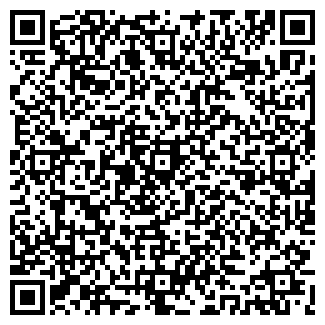 QR-код с контактной информацией организации ООО «ИНЕЛСО»