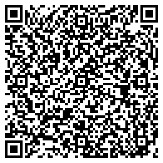 QR-код с контактной информацией организации Авто-Питер