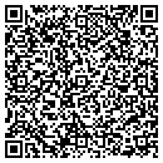 QR-код с контактной информацией организации Brandsvet