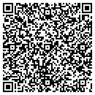 QR-код с контактной информацией организации VILAVI