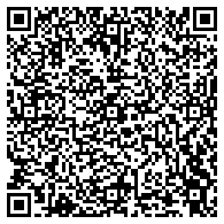 QR-код с контактной информацией организации ООО Bitcoinvip.kz