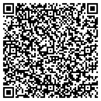 QR-код с контактной информацией организации ИП НикаСмайл