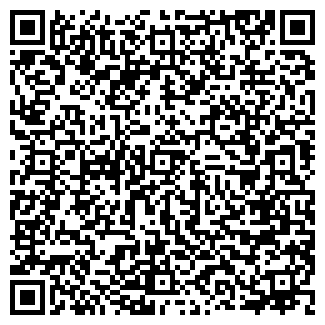 QR-код с контактной информацией организации ООО All Nokian