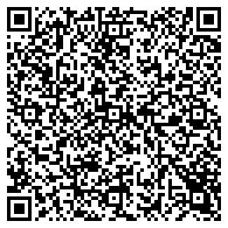 QR-код с контактной информацией организации ООО SkyFish