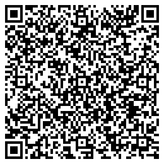QR-код с контактной информацией организации ООО Созвездие