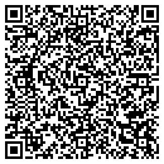 QR-код с контактной информацией организации ИП Odizap