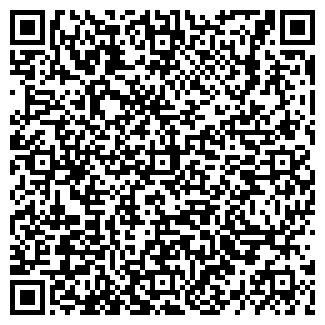 QR-код с контактной информацией организации ООО БОРС24