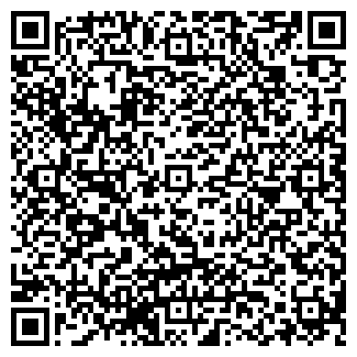 QR-код с контактной информацией организации ИП Cleanauto