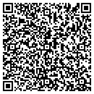 QR-код с контактной информацией организации AvtoSvet43