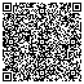 QR-код с контактной информацией организации Alto Ai