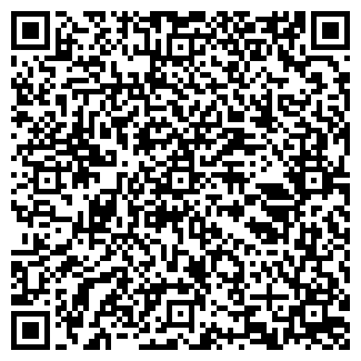 QR-код с контактной информацией организации ООО Висла