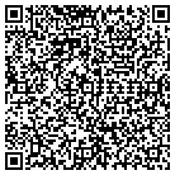 QR-код с контактной информацией организации Игротека Солнышко дома