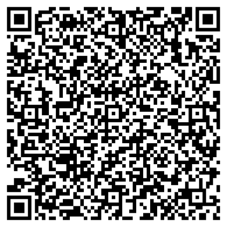 QR-код с контактной информацией организации ИП Ремонт бытовой техники