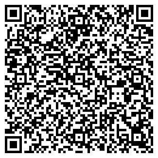 QR-код с контактной информацией организации ООО Borgata