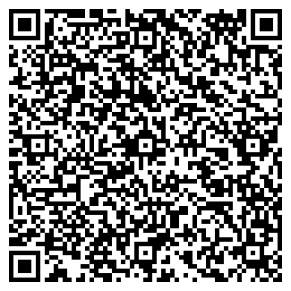 QR-код с контактной информацией организации ИП WorkShop