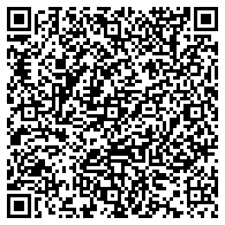 QR-код с контактной информацией организации Пластик Авто