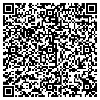 QR-код с контактной информацией организации ООО Night-ladies