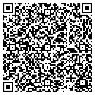 QR-код с контактной информацией организации Алиса