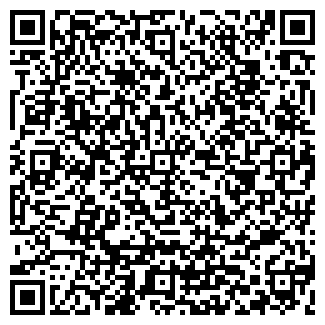 QR-код с контактной информацией организации ООО «Метиз-Н»