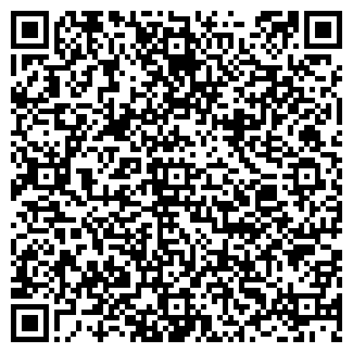 QR-код с контактной информацией организации ООО Альфа