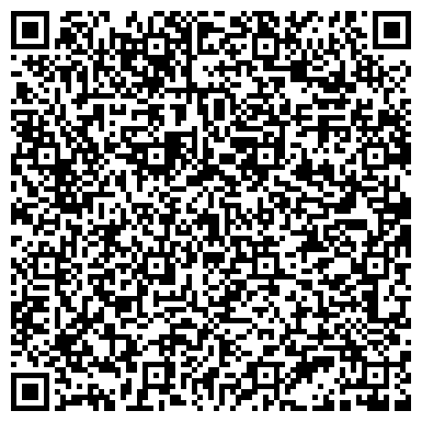 QR-код с контактной информацией организации ИП "Малыш и Карлсон"