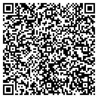 QR-код с контактной информацией организации ИП ИП Хамадуллин С.Л.