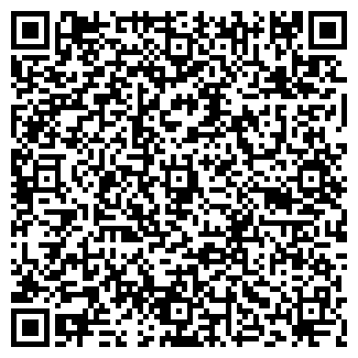 QR-код с контактной информацией организации ООО «Мастика»