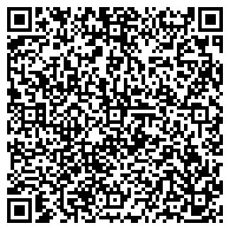 QR-код с контактной информацией организации ООО Pavlin.kz