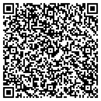 QR-код с контактной информацией организации Rich Car