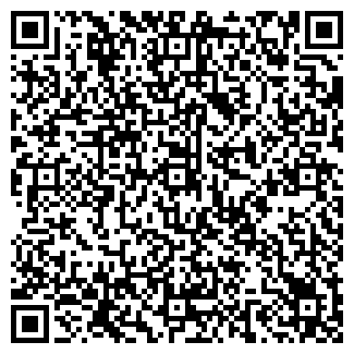 QR-код с контактной информацией организации Magazin Teze