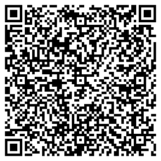 QR-код с контактной информацией организации Runzone