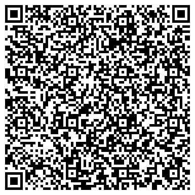 QR-код с контактной информацией организации Студия Циркового Искусства Алены Николаевой