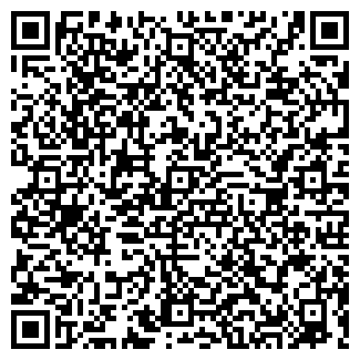 QR-код с контактной информацией организации ИП MediaSlide