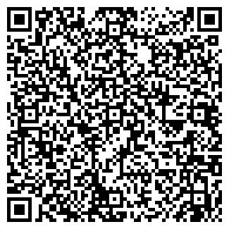 QR-код с контактной информацией организации ООО Пирамида