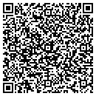 QR-код с контактной информацией организации Mystic dance