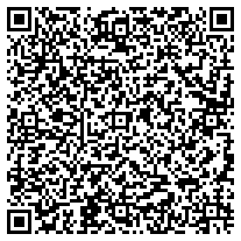 QR-код с контактной информацией организации Блиц сервис
