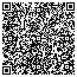 QR-код с контактной информацией организации Электрик