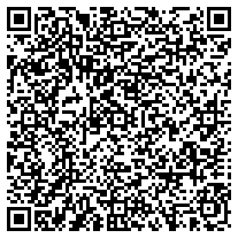 QR-код с контактной информацией организации ИП Girko dance Studio