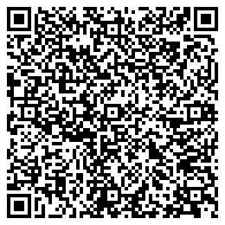 QR-код с контактной информацией организации ООО GekoCorp