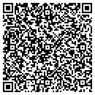 QR-код с контактной информацией организации Ноэми