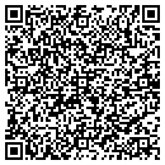 QR-код с контактной информацией организации Ruerovideos