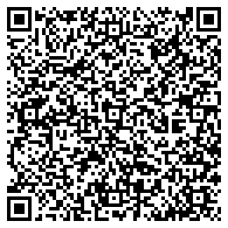QR-код с контактной информацией организации ИП ИП Стахов А.И.