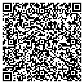 QR-код с контактной информацией организации NORVE