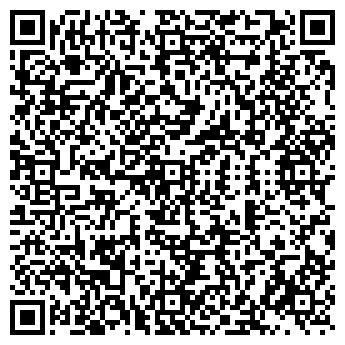 QR-код с контактной информацией организации ООО ДИММ
