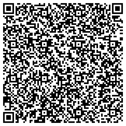 QR-код с контактной информацией организации ИП Шахматная Школа Феномен в Бибирево