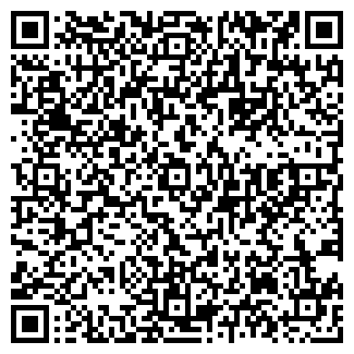 QR-код с контактной информацией организации Магнитные украшения Luxor