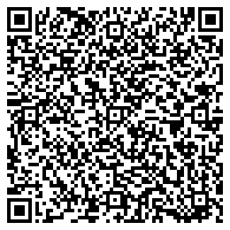 QR-код с контактной информацией организации ИП Pizzerolli