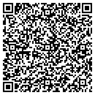 QR-код с контактной информацией организации ООО Наберемштат